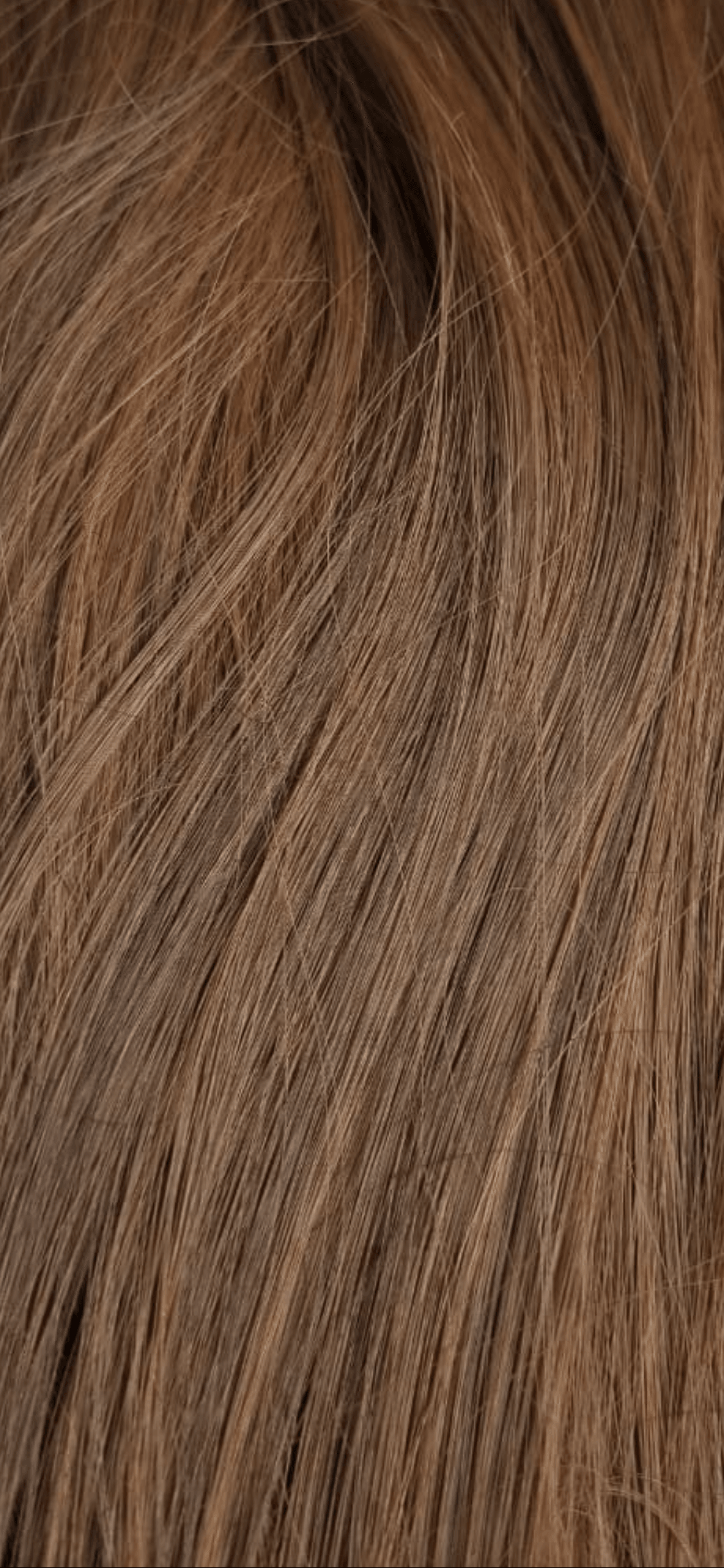 Natural-Looking Front Header Toppers – Enhance Your Hairline Instantly - World Hair Extension